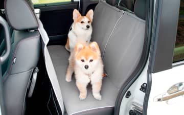 ホンダアクセス、誕生20周年を迎える自動車×愛犬グッズ「Honda Dog」で「しっぽフェスタ2025冬」出展