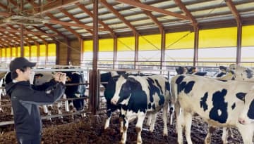 家畜の体重をAIで瞬時推計　農家支援、出荷調整に一役