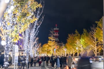 130万球のイルミと500機のドローンが夜空を彩る！「けやきライトパレード＆WAKAYAMA LIGHTS 2025」開催｜和歌山