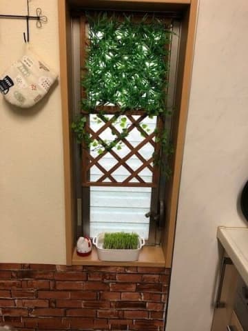 100均材料で作る目隠しカーテン