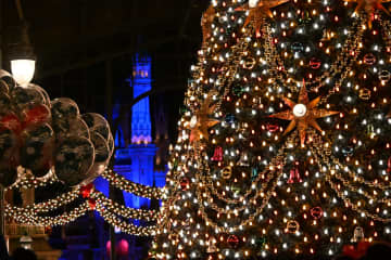 ディズニー・クリスマスは夜景も素敵！　ロマンティックが溢れる夜のパークを見てきた