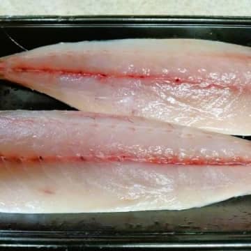 天然魚クエスト大阪編PART2