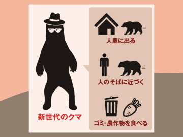 クマが変わったのか、人が変わったのか 人間を避けない“新世代クマ”増加の背景とは【眠れなくなるほど面白い 図解 クマの話】