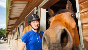 馬の健康状態と厩舎環境