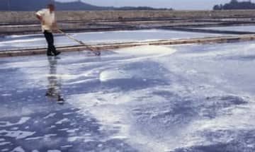 新安の塩田主を労働搾取・賃金未払いなどで拘束…「10年間無給で強制労働」＝韓国