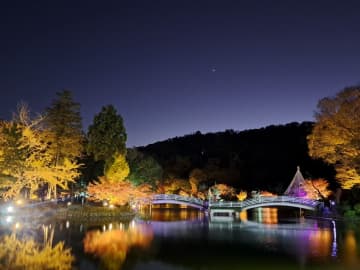 東京・町田市「秋遊び2025」開催中！～秋の夜を彩る、幻想的な雲海と紅葉ライトアップ～