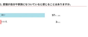 「猫になつかれている」と感じるときは？行動の理由を獣医師が解説