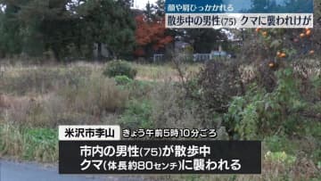 散歩中の男性（75）クマに襲われけが　顔や肩を引っかかれる　山形・米沢市