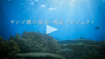 鹿島のCM「KAJIMAはつくる 慶良間サンゴ」篇で流れる曲は?