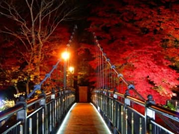 栃木・那須塩原の絶景ツーリングスポット！　『紅の吊橋』ライトアップ開催
