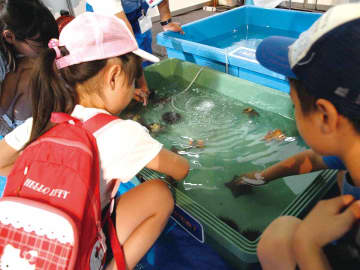 海の魅力を体感して　「海洋都市横浜うみ博2022」3年ぶりにリアル開催へ