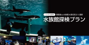 【1日60名限定】シャチを見ながらディナー！ 鴨川シーワールド「水族館探検プラン」予約が11月14日スタート！閉館後を貸し切り気分で満喫！