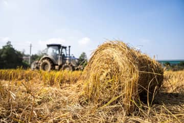 中国湖南省長沙県、稲わらの回収・再利用を推進