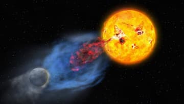 太陽似の若い星「りゅう座EK星」で発生した巨大フレアを宇宙と地上から同時観測