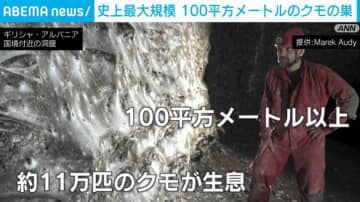 史上最大級！100平方メートル超のクモの巣を発見 ギリシャとアルバニア国境の洞窟