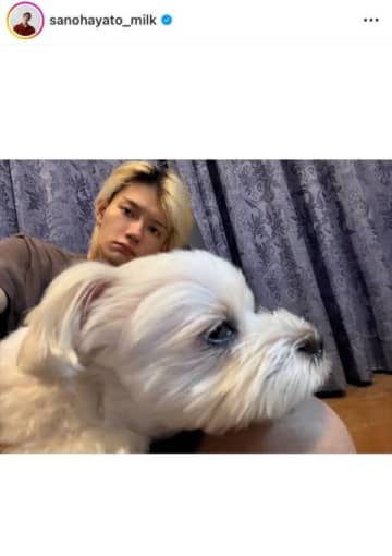 「メロすぎ」佐野勇斗、実家でまったりプラべSHOTにファン大歓喜「好きすぎて滅！！」