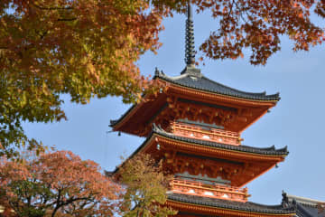 インバウンド急増の影響で “修学旅行生” が『激減』混雑が激しく宿泊費も高騰 “旅行先を変更する学校” が増加し話題に「日本人が日本の重要文化財に触れられないって可哀想すぎる」「なんで日本人が遠慮しないといかんのか・・・」