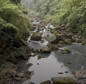 インフルエンサーが河川の深刻な汚染を暴露、現地当局「原因は不明」―重慶市