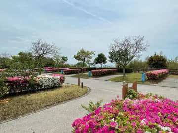 初心者におすすめ！キャンピングカーが利用できるキャンプ場9選【山口県】