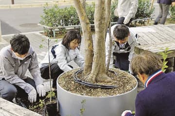 竹中工務店名古屋支店／都心の生きもの復活支援／蝶の休憩・生息スポットを整備