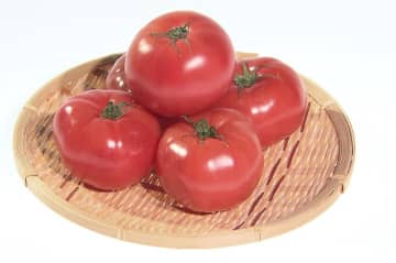 “トマトショック”がカレーも直撃　平均価格が2.4倍に上昇…主要産地・熊本県の記録的な大雨で出荷量減少