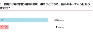 約8割の猫が“毎日同じ行動”をしていた⁉　【調査】愛猫はルーティンがある？　行動の理由を獣医師が解説
