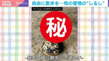 「自由に散歩を…」愛情から生まれた“カメの背中の印”に「お母様の思いつきが面白すぎ」と反響