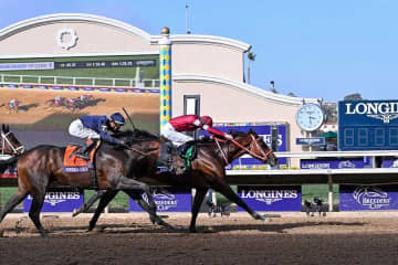 「何度見ても泣ける」「完全に目が…」　フォーエバーヤング歴史的Vで大バズリの光景とは