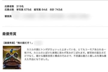 最優秀賞取消しの「カエル写真」新たな事実明らかに　「制作者の許諾は得ていなかった」埼玉県の写真コンテスト