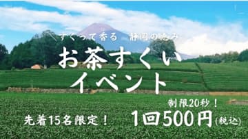 ＼すくって香る！静岡の恵み！　週末限定「お茶すくい」体験開催／　～お茶の楽しさを体験できる特別企画～
