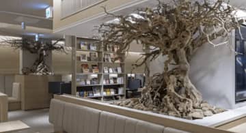 【地下にオアシス】駒沢大学駅前に「SHARE LOUNGE」オープン！箱根駅伝テーマの選書＆“こもれび”感じる自然派デザインで居心地抜群！