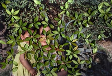 ライカ、女性写真家のプロジェクトを1万ユーロで支援　オスカー・バルナックアワードで作品発表