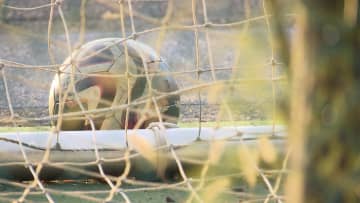 仙台育英高校が全国高校サッカー選手権大会を出場辞退　部員への不適切な言動を「いじめ」と認定した問題受け