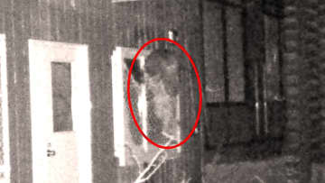 【円山公園が全面閉鎖】クマの出没相次ぎ緊張高まる…夜の円山動物園で窓枠によじ登る姿 住宅街で雪上に残る無数の足跡 北海道神宮の境内も夜間閉鎖_住民はクマよけスプレー携帯 不安広がる