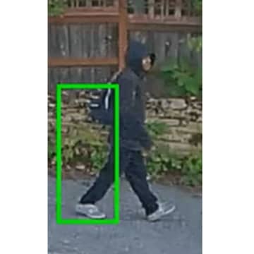 米シアトルで戦慄の事件…強盗がダイヤの指輪を奪うために指を噛みちぎる！