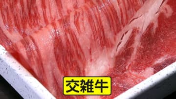 【人気】「国産交雑牛」和牛の脂身×乳牛の赤身　両品種の“いいとこ取り”で高級感ありながらヘルシーでお手頃