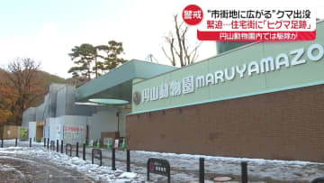 札幌・円山動物園内でオスグマ駆除　住宅街に「ヒグマ足跡」住民たちは対策を強化
