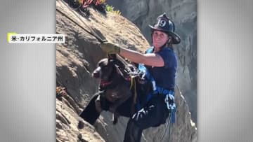 「なぜそこに？」高さ60メートルの崖っぷちに犬…足場悪いなか決死の救出作業の一部始終　米・カリフォルニア州