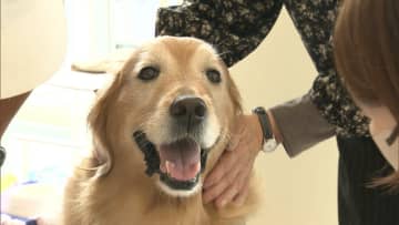 ニーズ高まるアニマルセラピー　治療として認めている国もある中で国内では解決すべき課題　支援乏しく事業が成り立たずボランティア頼みも限界