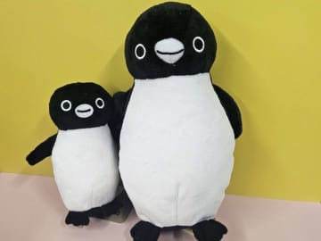 Suicaのペンギン〝卒業〟で広がる不安...「もしかして、食べられなくなっちゃうの？」　大人気「Suicaスイーツ」実食レポ