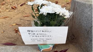 「運転手は鼻歌を歌っていた」韓国・タクシー事故で生後9カ月長女が意識不明…日本人父親が語る事故の瞬間　相次ぐ外国人被害に韓国メディア「国家の恥」