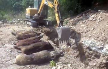 イノシシ被害に対応、ドローンで自動殺処理して搬送も―中国メディア