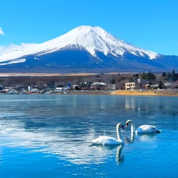 韓国人は海外旅行もコスパ重視、人気は日本・ベトナム＝韓国ネット「無理して旅行しなくても…」