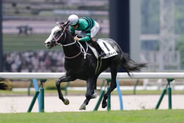 【デイリー杯2歳S登録馬】キャンディードなど12頭