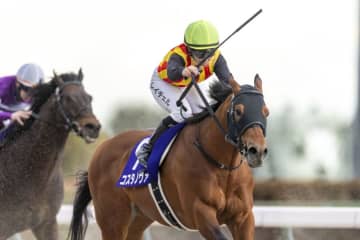 【武蔵野S登録馬】コスタノヴァなど21頭