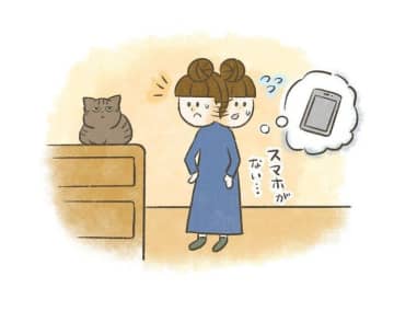 「俺のものは俺のもの！」猫と“失せ物”エピソード【連載】交通事故にあった猫を拾いました#232