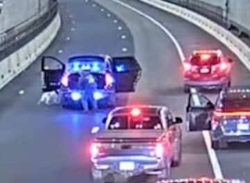 トンネルをまさかのものが"逆走"。危うく車に轢かれるところを無事に保護「どうやって迷い込んだの？」