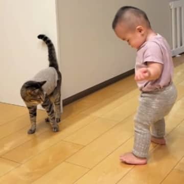 赤ちゃんが初めて"ひとりで歩いているところ"を目撃した猫…微笑ましい"リアクション"に反響「どちらも可愛い」「仲間だと思ってたニャン」
