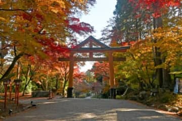 滋賀県屈指の紅葉名所！約3000本のもみじが織りなす紅葉の競演【もみじまつり】日吉大社にて開催！