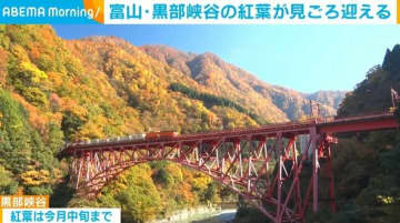 富山・黒部峡谷の紅葉が見ごろ迎える